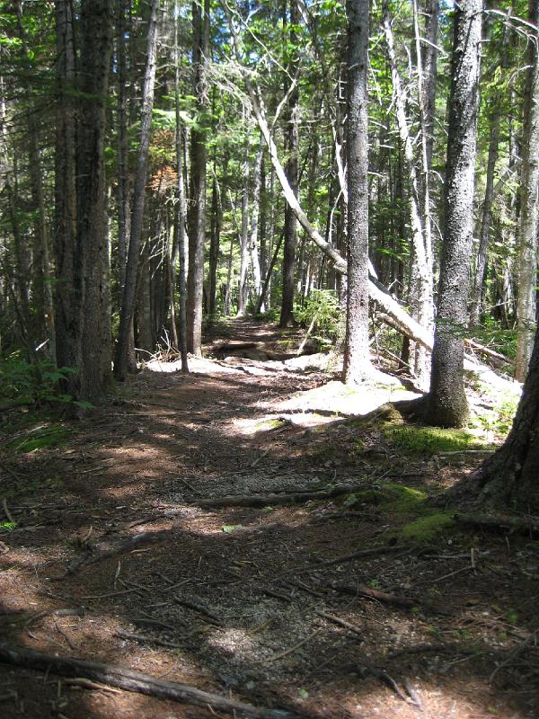 PemiTraverse (10).JPG - Looking down the Nancy Pond Trail.